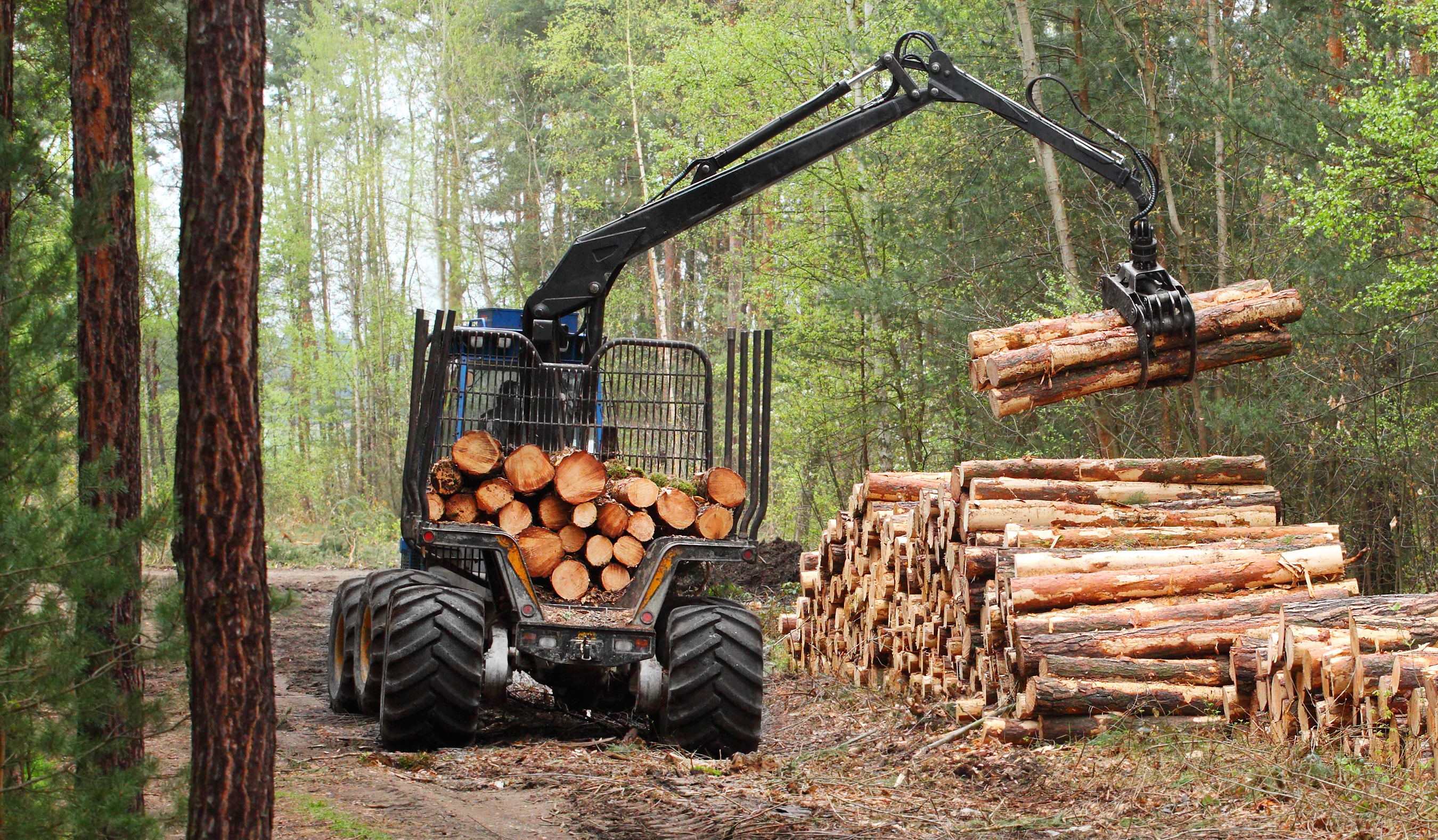 Forestry Equipment